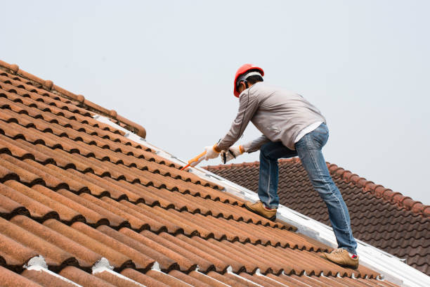 Best Roof Ventilation Installation  in Dexter, NM