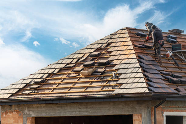 Best Roof Insulation Installation  in Dexter, NM