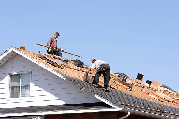 Best Cold Roofs  in Dexter, NM